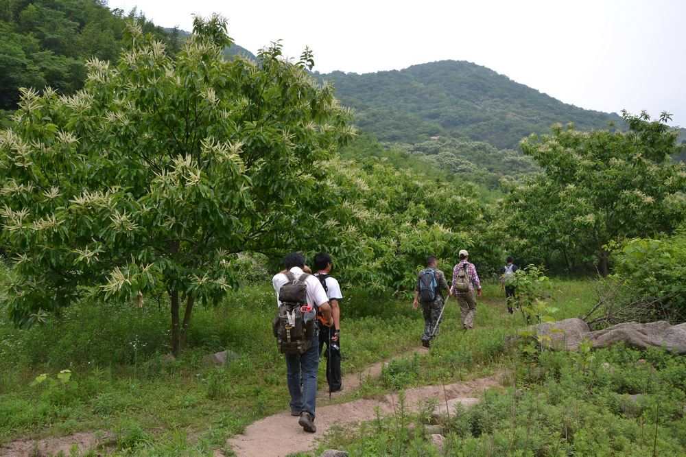 2012.6.3Ů̶014.jpg