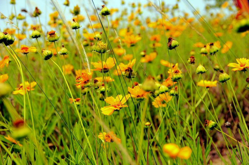_mg_0765.jpg