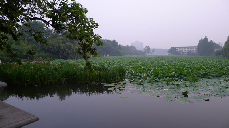 p1000075-1.jpg