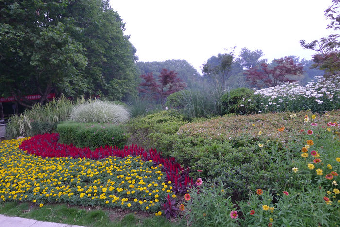 p1000071-1.jpg