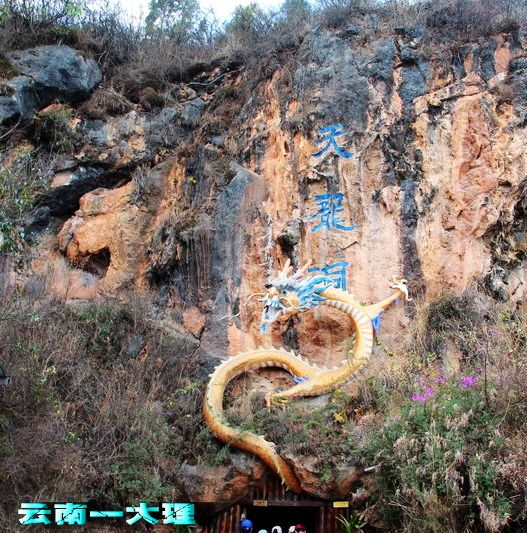 img_3281_缩小大小.jpg