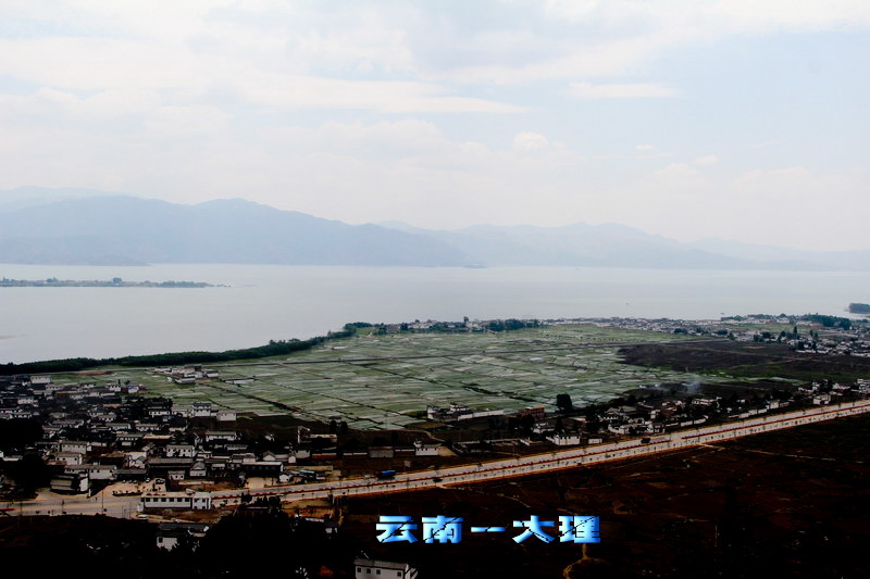 img_3288_缩小大小.jpg