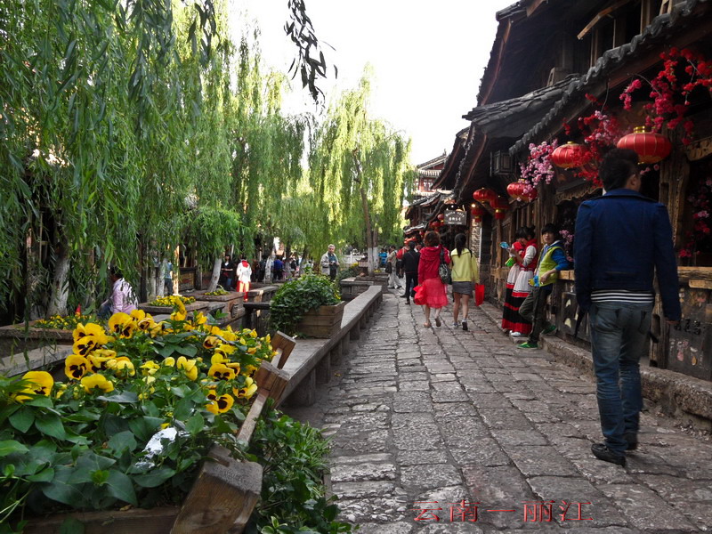 sam_9297_缩小大小.jpg