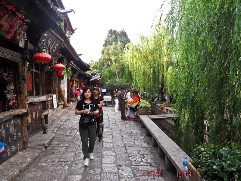 sam_9298_缩小大小.jpg
