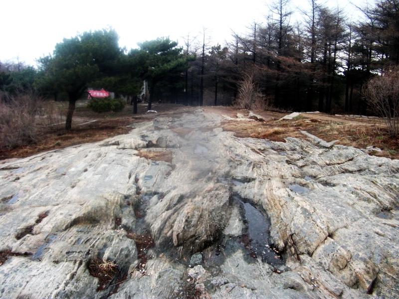 dscf0318.jpg