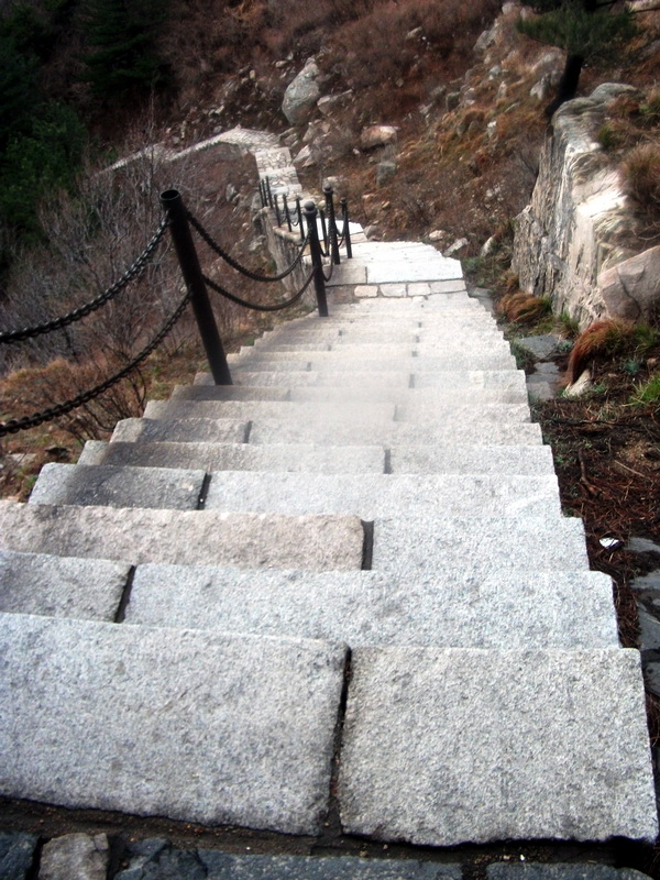dscf0319.jpg