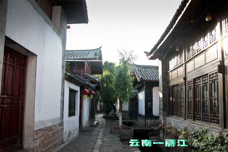 img_3448_缩小大小.jpg