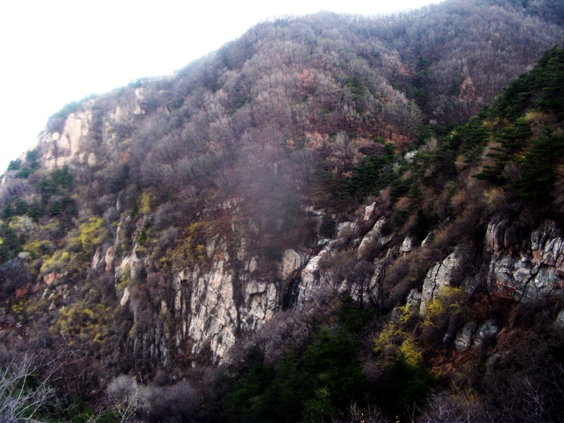 dscf0324.jpg