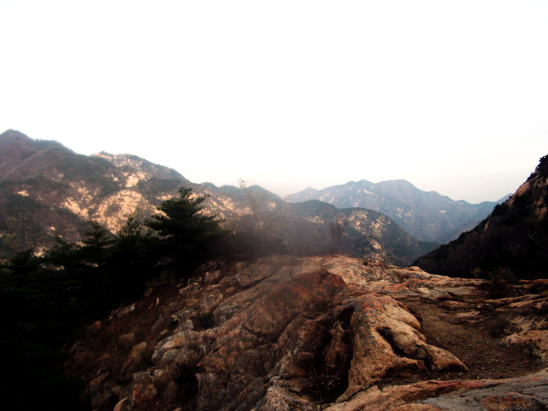 dscf0325.jpg