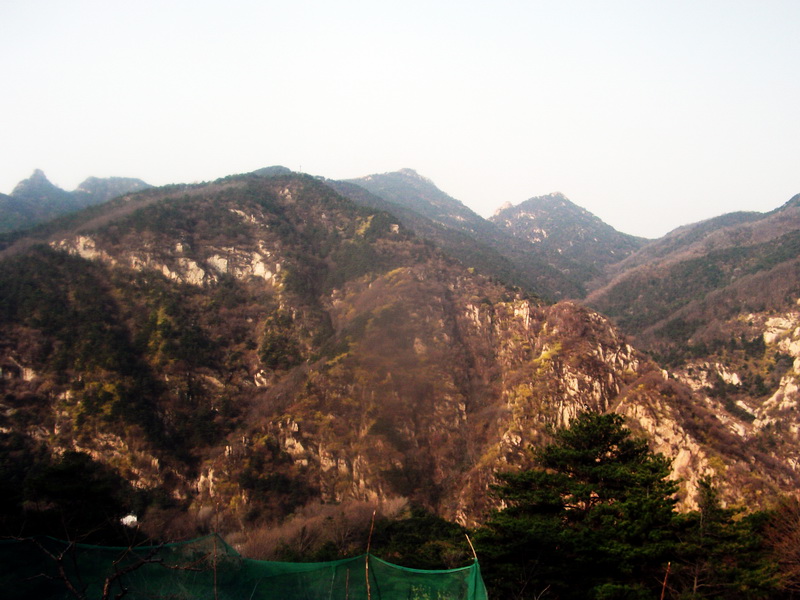dscf0328.jpg