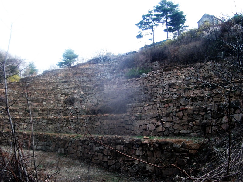 dscf0330.jpg