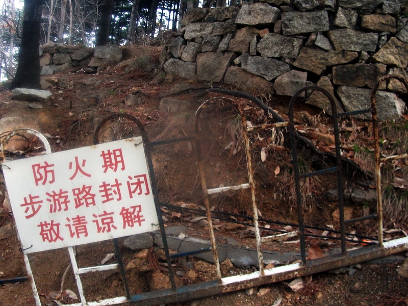 dscf0331.jpg
