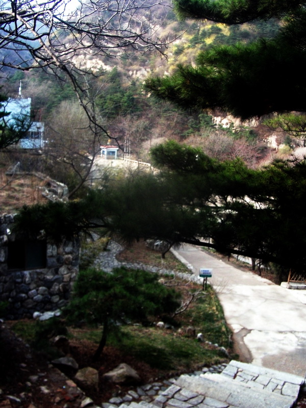 dscf0333.jpg