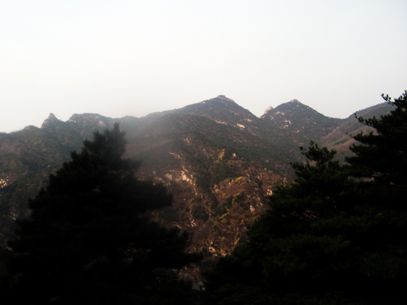 dscf0326.jpg
