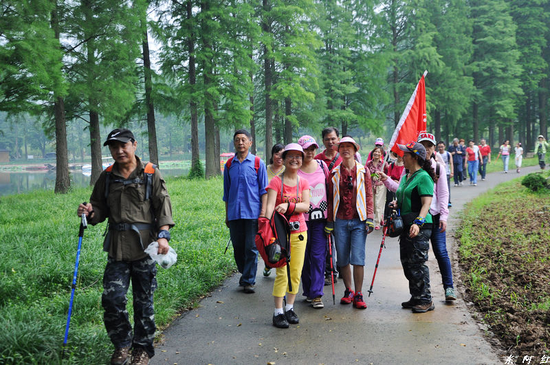 dsc_0332.jpg