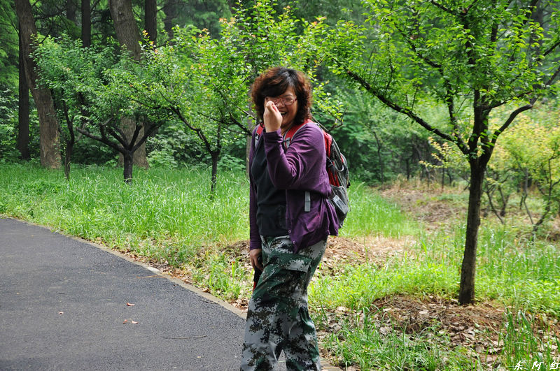 dsc_0343.jpg