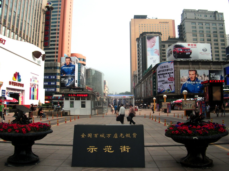 dscf0096.jpg