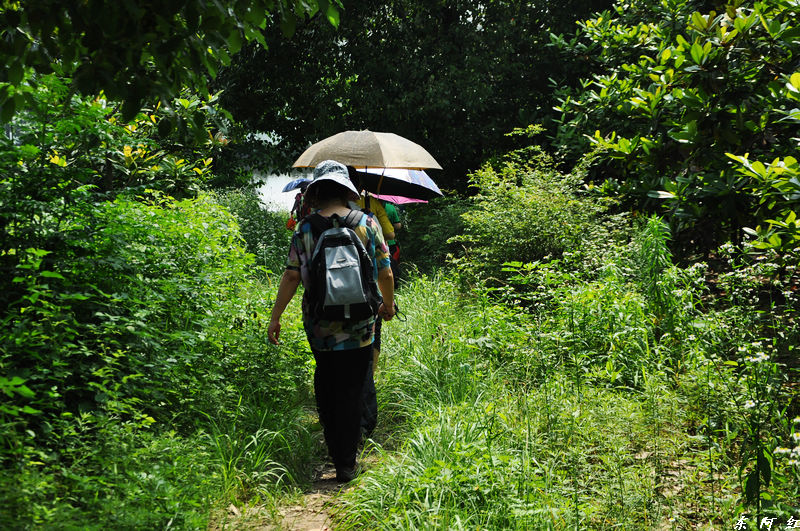 dsc_0444.jpg