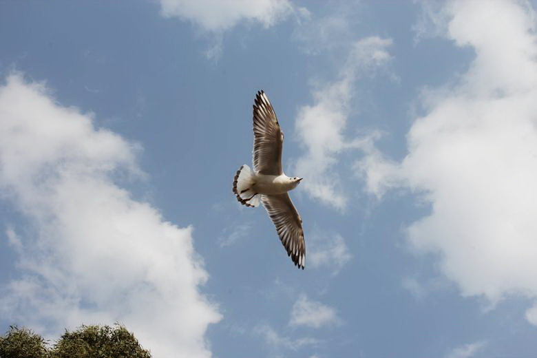 neo_img_img_0819.jpg
