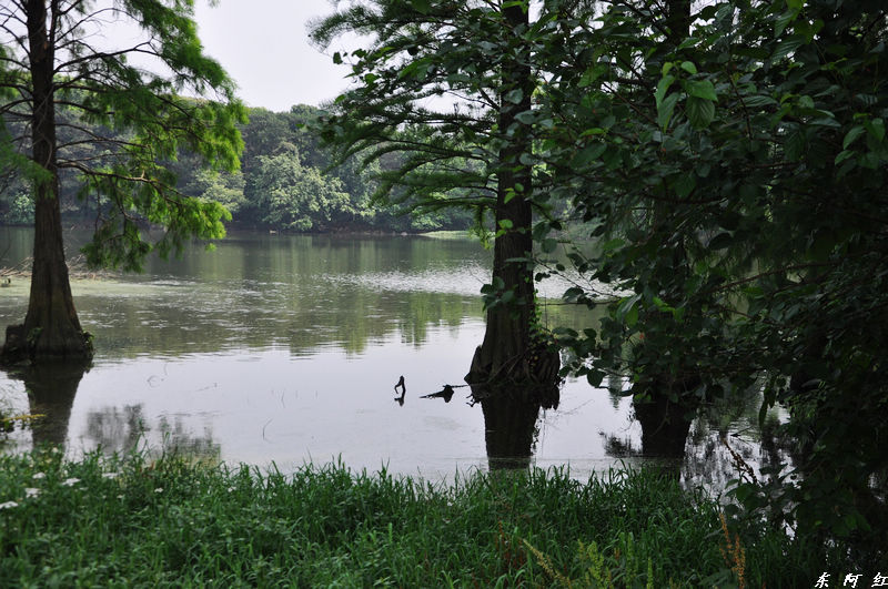 dsc_0453.jpg