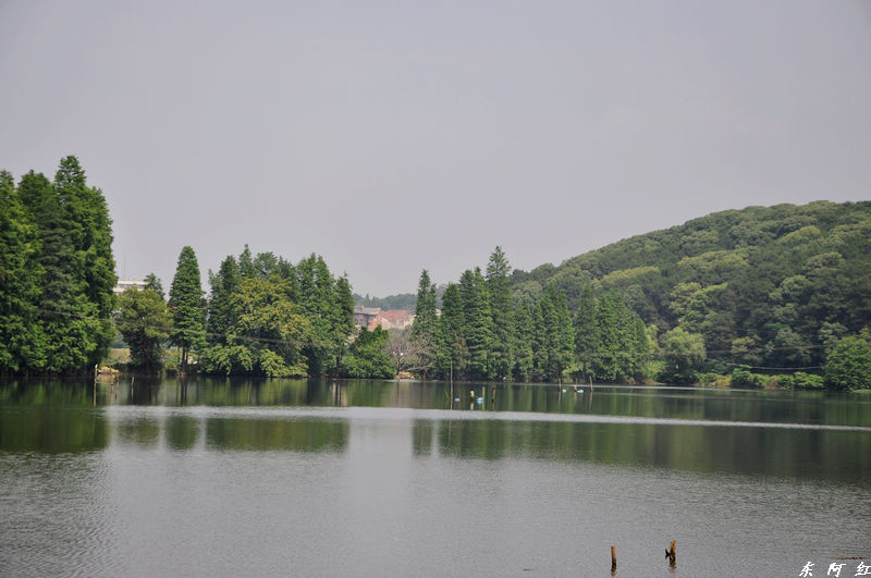 dsc_0461.jpg