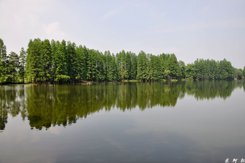 dsc_0465.jpg