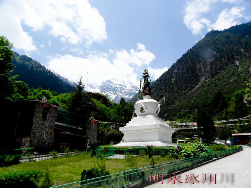 sam_9464_缩小大小.jpg