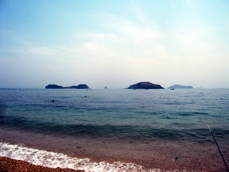 dscf0231.jpg