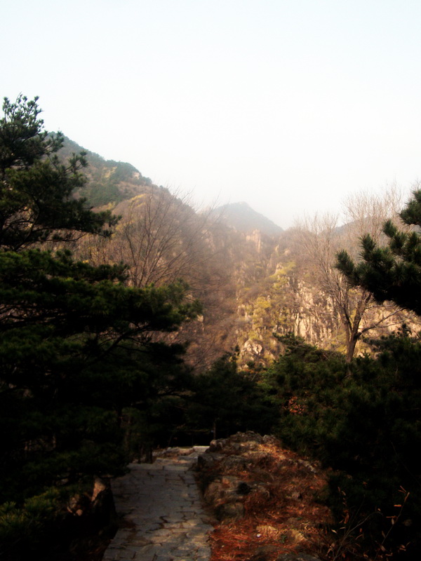 dscf0334.jpg