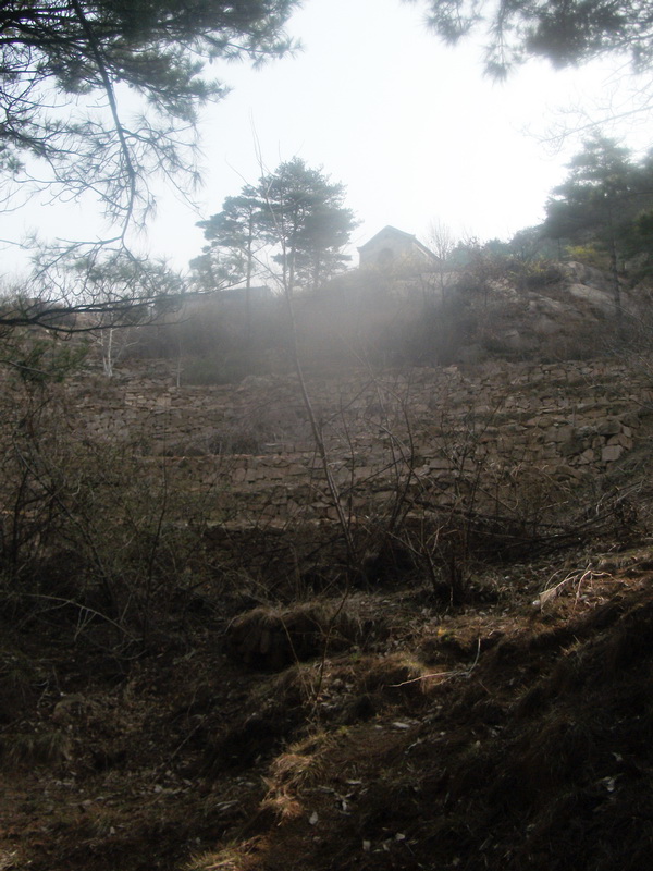 dscf0335.jpg
