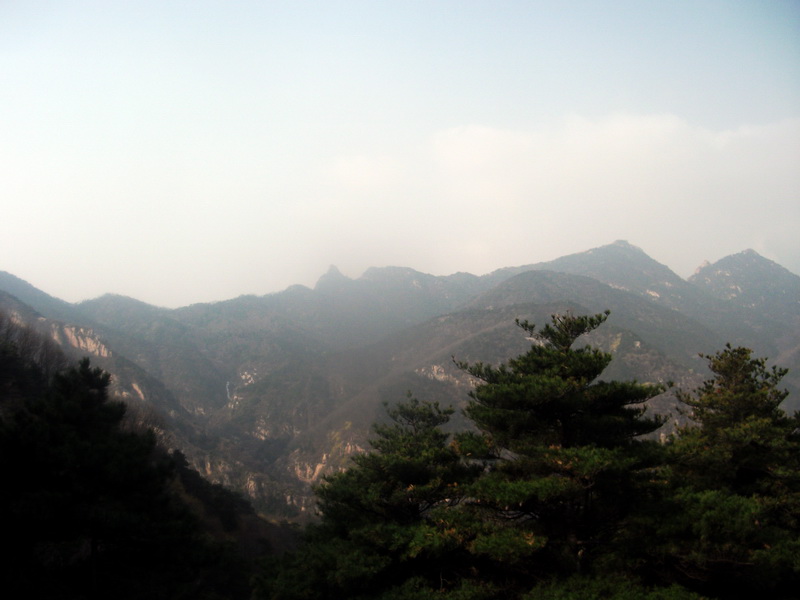 dscf0337.jpg
