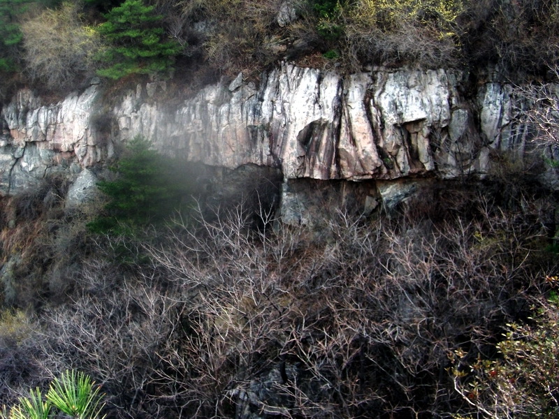 dscf0338.jpg