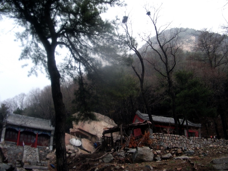 dscf0341.jpg