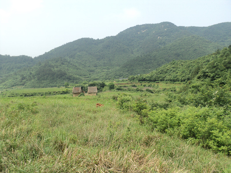 dsc08589_.jpg