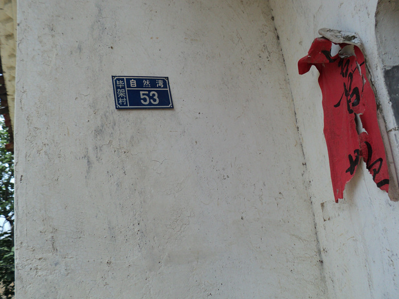 dsc08600_.jpg