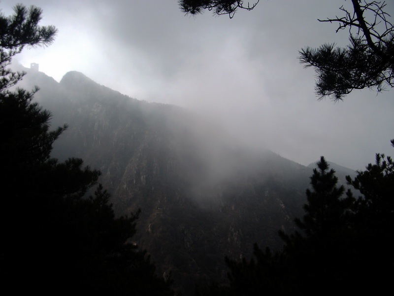 dscf0343.jpg