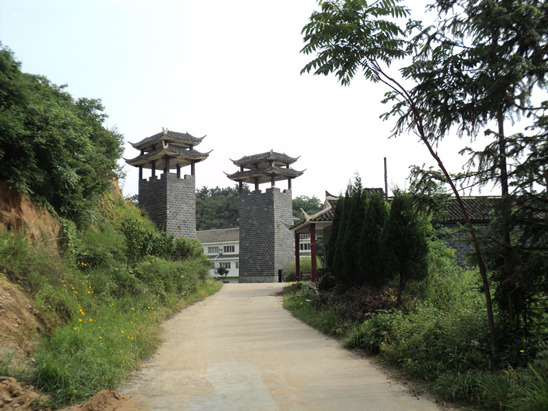 dsc08649_.jpg