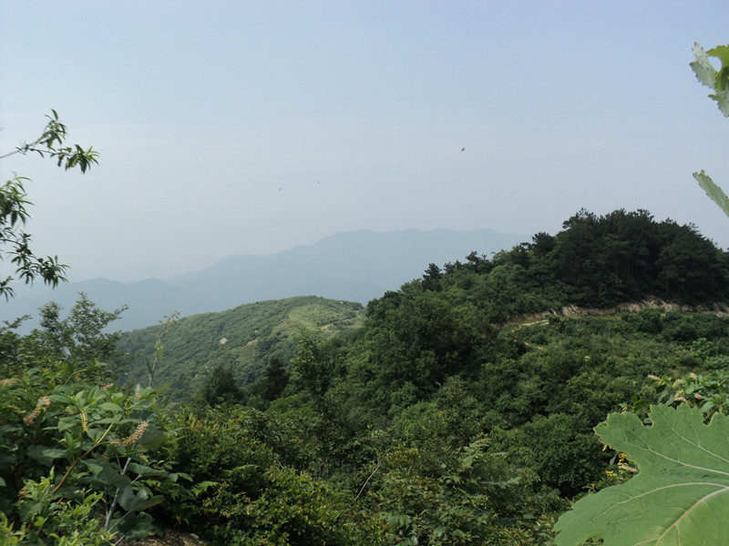 dsc08616_.jpg