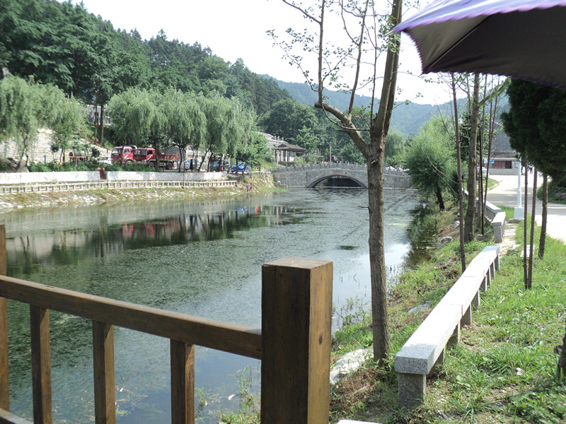dsc08629_.jpg