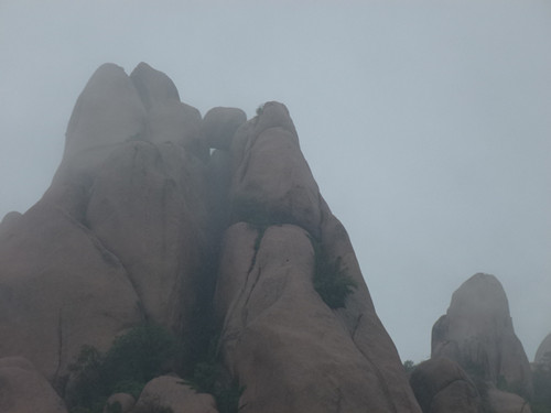 p1070442_.jpg