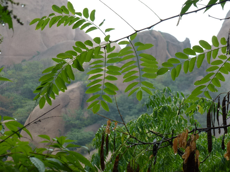 p1070458_.jpg