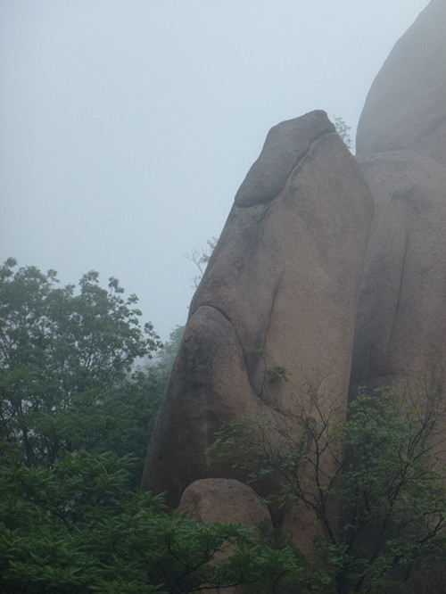 p1070461__.jpg
