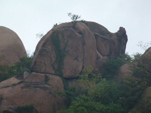 p1070469_.jpg
