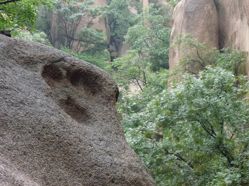 p1070507_.jpg