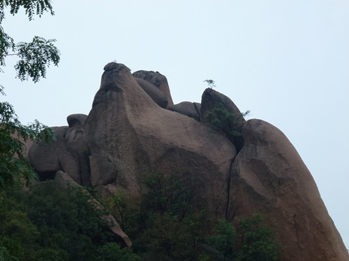 p1070517_.jpg