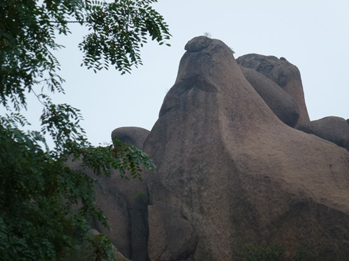 p1070523_.jpg
