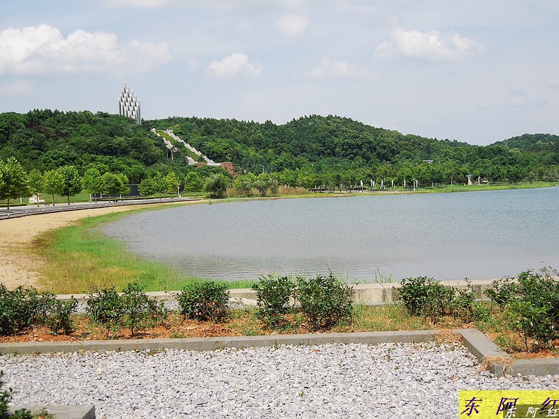 dscn0101.jpg
