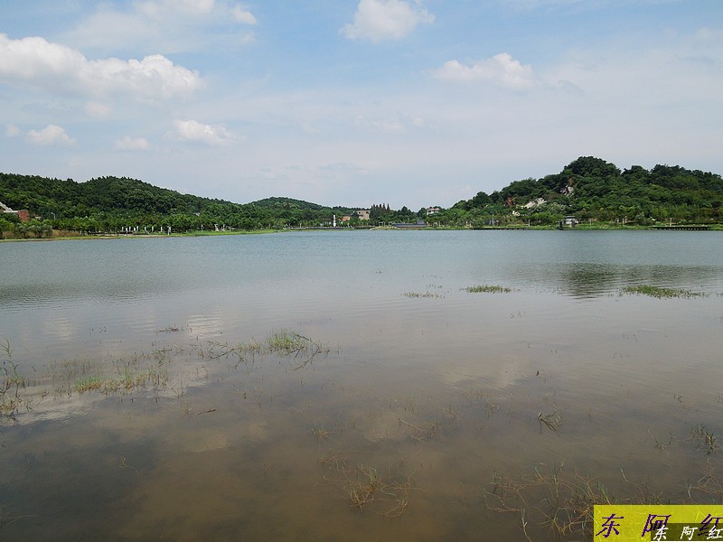 dscn0102.jpg