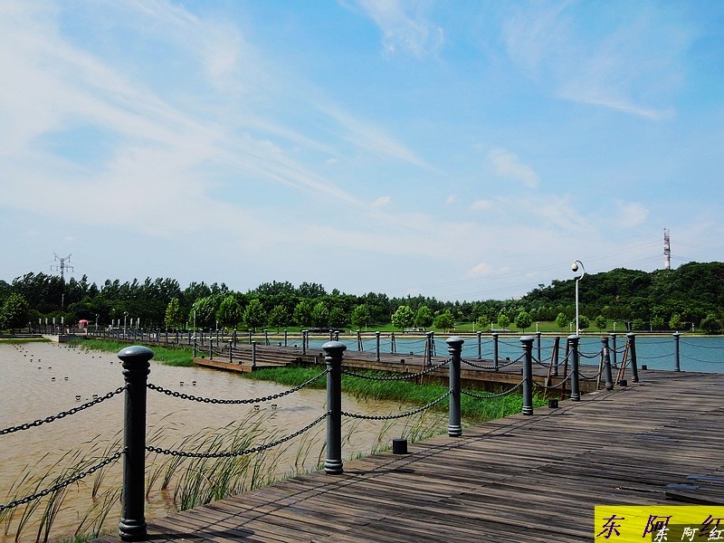 dscn0117.jpg