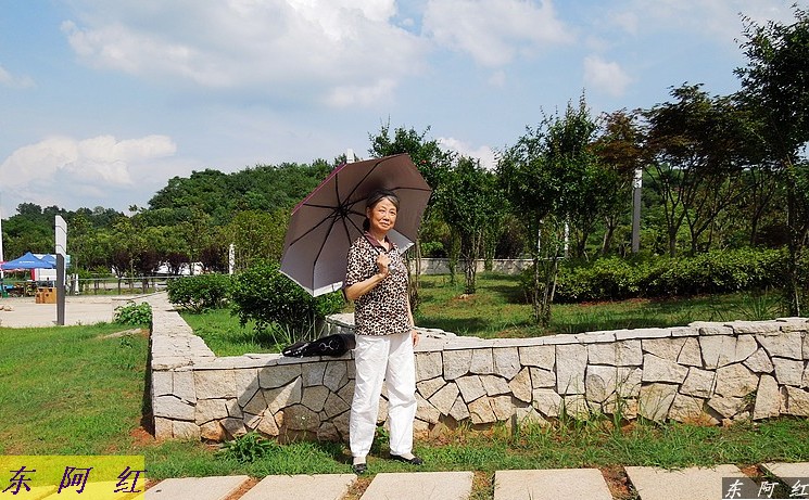 dscn0204.jpg